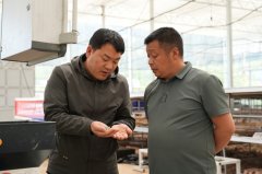 （张俊8日